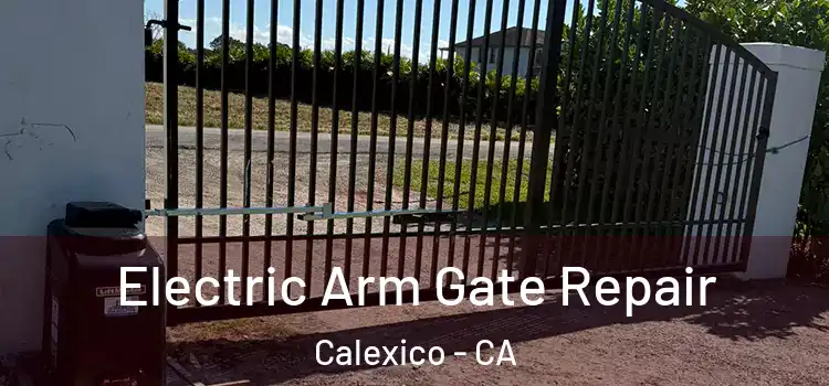 Electric Arm Gate Repair Calexico - CA