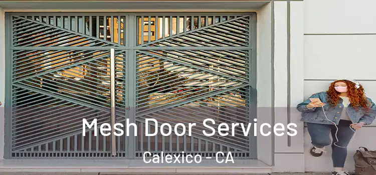 Mesh Door Services Calexico - CA